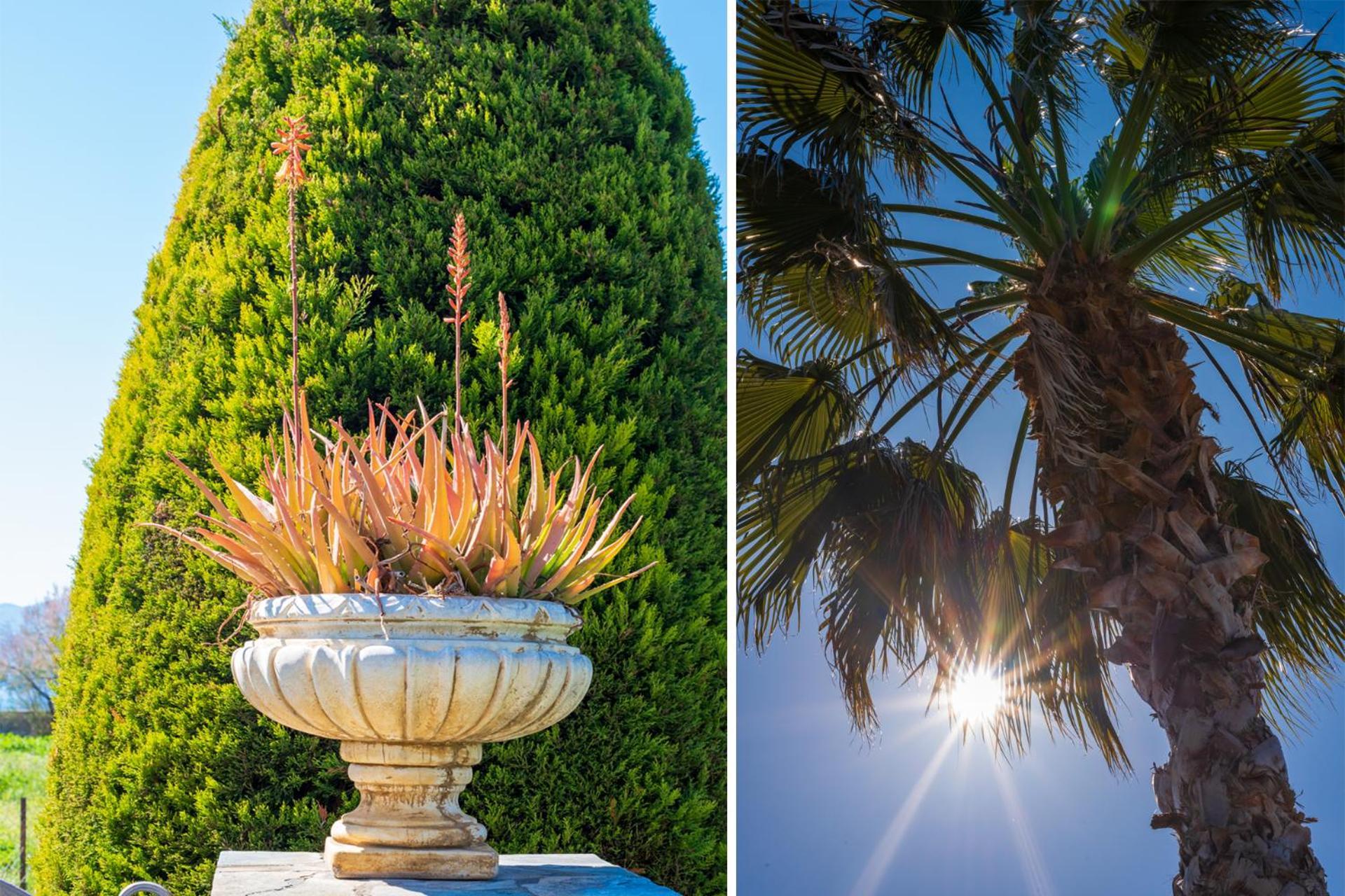 Christina'S Twin Palm Trees House Apartment Agria Luaran gambar